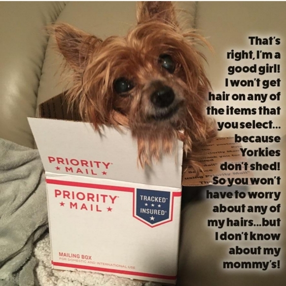 𝐌𝐞𝐫𝐜𝐡𝐚𝐧𝐝𝐢𝐬𝐞 New With Tags Mostly - Picture 2 of 11